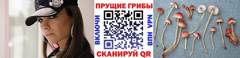 Псилоцибиновые грибы Magic Shrooms  Кандалакша 