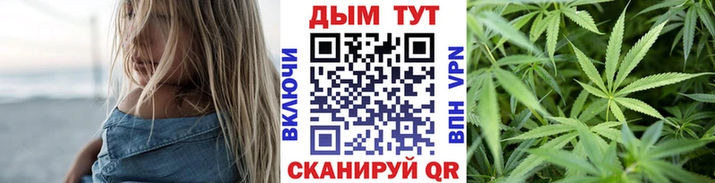 Бошки Шишки планчик Кандалакша